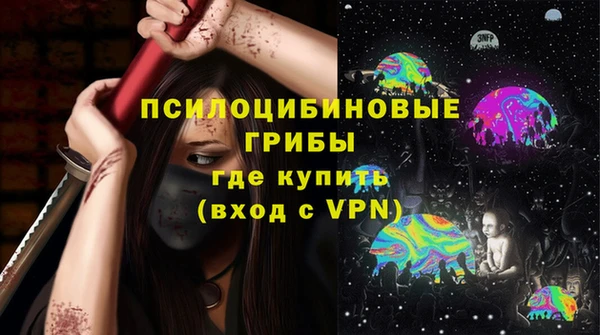 дмт Белокуриха
