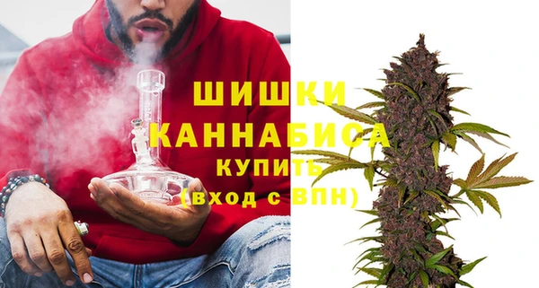дмт Белокуриха