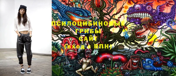 дмт Белокуриха