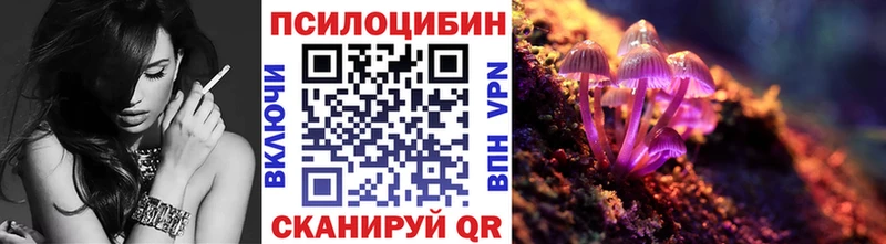 сколько стоит  Волосово  Псилоцибиновые грибы Psilocybe 